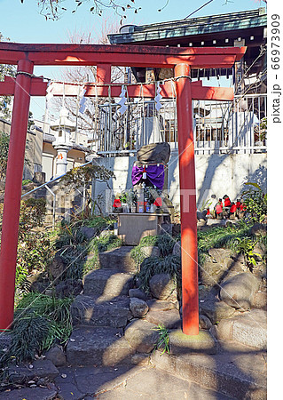 田端八幡神社の写真素材