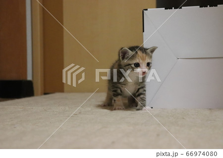 はじめての場所へ 66974080