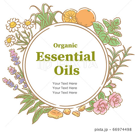アロマオイルに使われるハーブなどを使ったデザイン。 ベクター画像 アロマオイルに使われるハーブなどを使ったデザイン。 ベクター画像 66974498