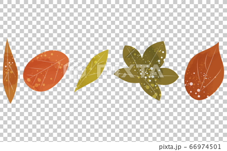 紅葉した葉っぱのセット 透明水彩風イラストのイラスト素材