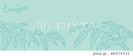 バナー 背景などに使えるユーカリのスケッチイラスト ベクター画像のイラスト素材