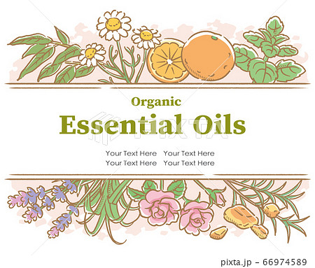 アロマオイルに使われるハーブなどを使ったデザイン ベクター画像のイラスト素材 66974589 Pixta