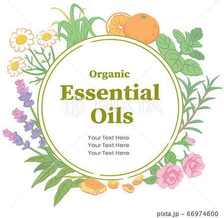アロマオイルに使われるハーブなどを使ったデザイン。 ベクター画像 66974600