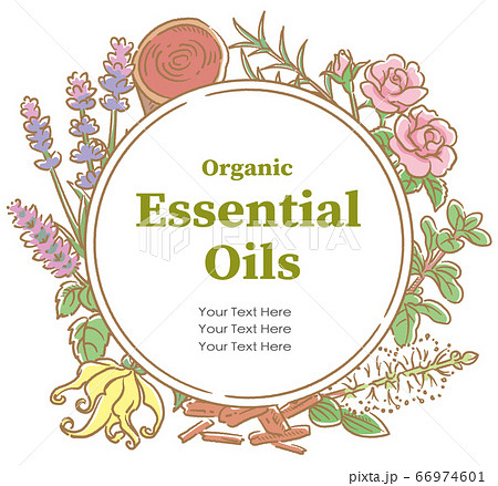 アロマオイルに使われるハーブなどを使ったデザイン。 ベクター画像 66974601
