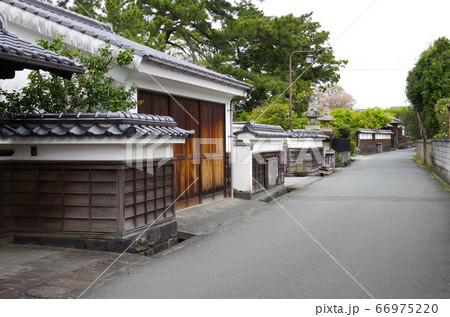 萩武家屋敷通りの景色 萩武家屋敷通りの景色 66975220