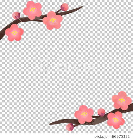 Plum Blossom Vector Illustration Background Stock Illustration