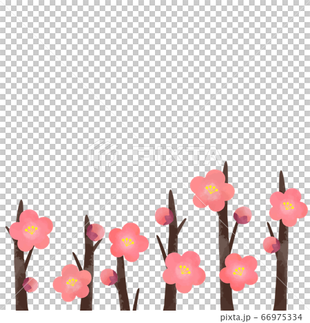 梅の花のベクターイラスト 背景素材 のイラスト素材