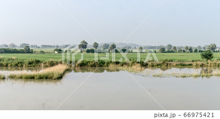 Landscape Scenery of Agriculture field in Agrarian India.  66975421