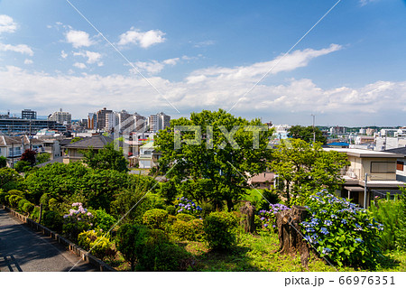 丘から見る八王子市の住宅街 66976351