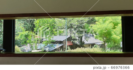 夏 ガーデン 庭園 66976366