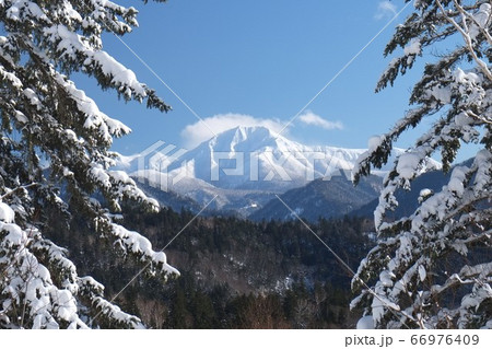 青空と樹林と雪山 ニペソツ山 青空と樹林と雪山 ニペソツ山 66976409