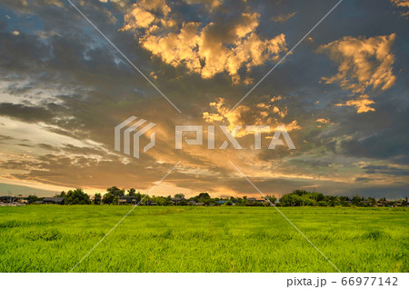 田園のドラマチックな夕焼け 田園のドラマチックな夕焼け 66977142