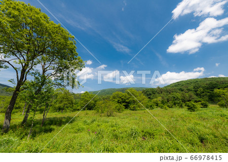 広島芸北地方の臥龍山麓八幡原の湿原です。梅雨の晴れ間に撮影、雄大な景色が魅力で人気があります。 66978415