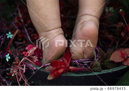植木鉢に乗って背伸びする赤ちゃんの裸足と足の裏と赤い植物の写真素材