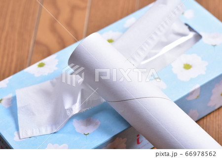 固い紙のパイプとティッシュペーパーの写真素材