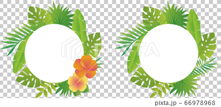 夏 植物 花 フレーム ふきだし 飾り枠 コピースペース セットのイラスト素材