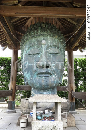 首大仏　無量光寺　和歌山市 66979249
