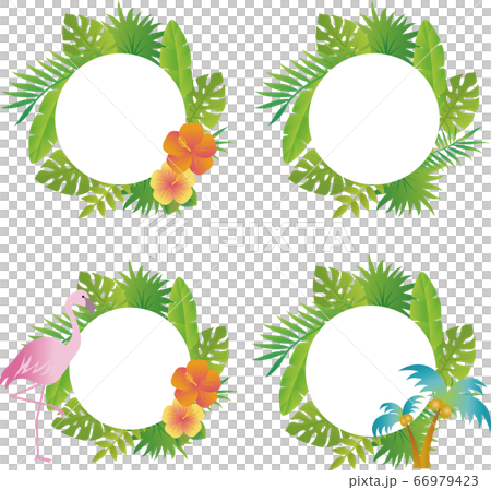夏 植物 花 フレーム ふきだし 飾り枠 コピースペース セットのイラスト素材