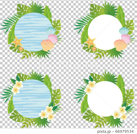 夏 植物 花 貝 フレーム ふきだし 飾り枠 コピースペース セットのイラスト素材