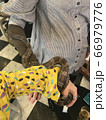 爬虫類カフェで蛇に巻き付かれる男 66979776