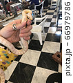 爬虫類カフェで蛇に巻きつかれる男 66979786