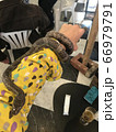 爬虫類カフェで蛇に巻きつかれる男 66979791