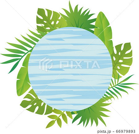 夏 植物 フレーム 飾り枠 看板 木目 水色 コピースペースのイラスト素材