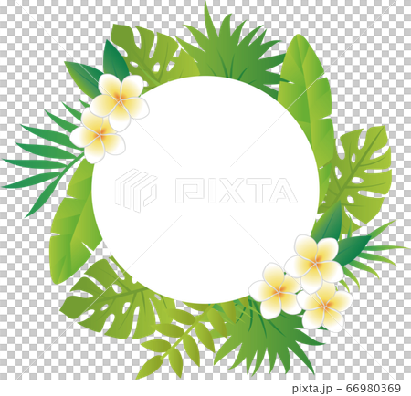 夏 植物 花 フレーム ふきだし 飾り枠 コピースペースのイラスト素材