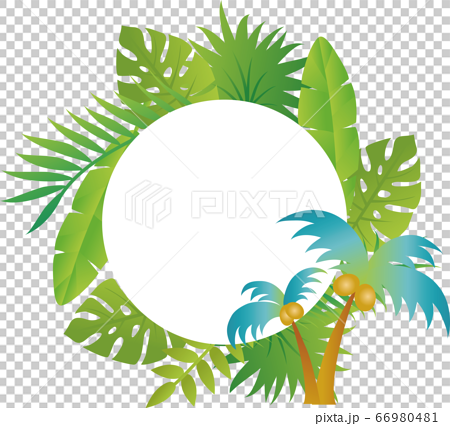 夏 植物 ヤシの木 フレーム 飾り枠 コピースペースのイラスト素材