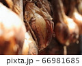 玉ねぎ 66981685