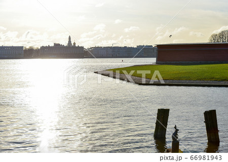 Sunrise on a hare island in St. Petersburg 66981943