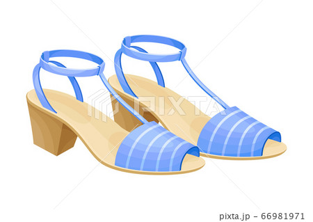 Heeled Open Toe Shoes or Peep-toes with Latchets Vector Illustration Heeled Open Toe Shoes or Peep-toes with Latchets Vector Illustration 66981971