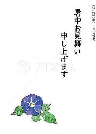 暑中見舞い 朝顔 のイラスト素材