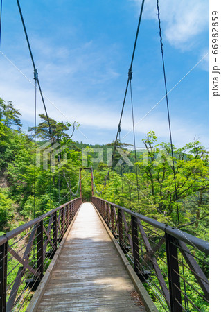 滝見橋（都民の森） 66982859