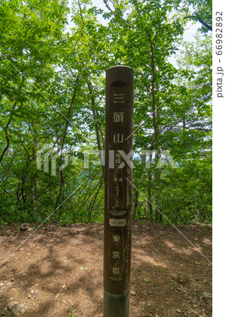 三頭山東峰(都民の森) 三頭山東峰(都民の森) 66982892