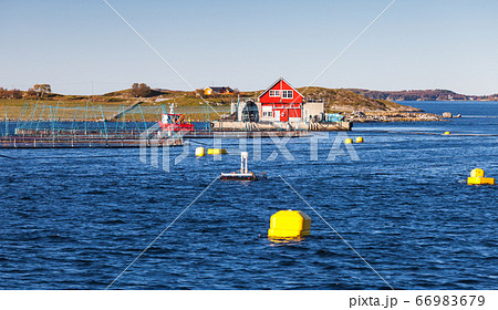 Floating Norwegian fish farm for salmon growing Floating Norwegian fish farm for salmon growing 66983679