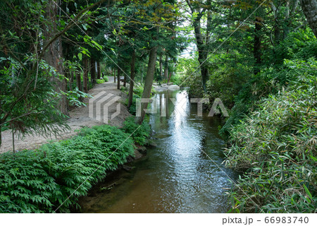 遠野 カッパ淵 遠野 カッパ淵 66983740