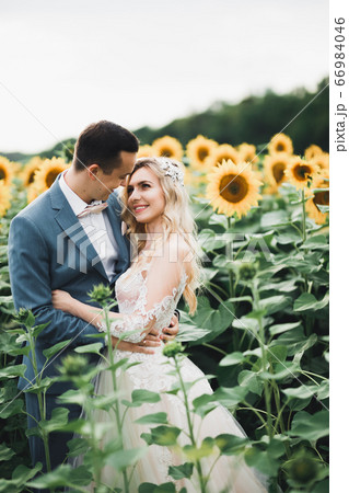 Wedding couple on the nature is hugging each other. Beautiful model girl in white dress. Man in suit 66984046