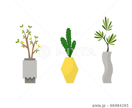 Collection of indoor house plants in pots. Home decorative and deciduous plants in a flat style. Set of elements for design house, room or office. Indoor garden potted plants isolated on white 66984265