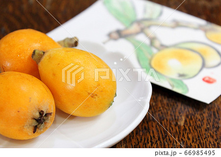 季節の便り＞夏ー露地物のビワ（枇杷）+絵手紙/ヨコ（びわアップ2） 66985495