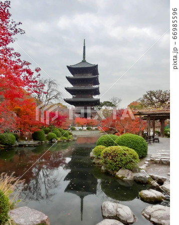 東寺の紅葉風景 東寺の紅葉風景 66985596