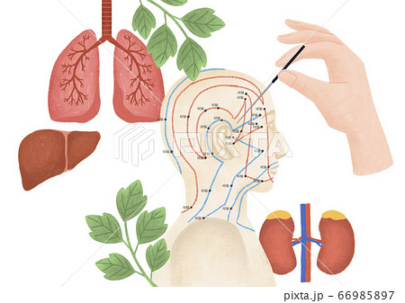 Alternative medicine and treatment concept in flat illustration 002 66985897