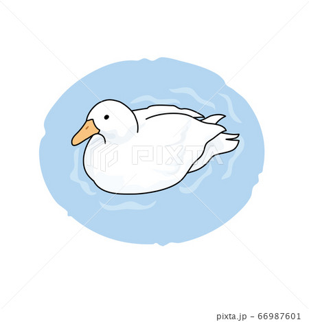 アヒル2のイラスト素材
