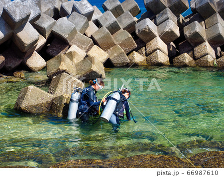 ダイビング講習 66987610