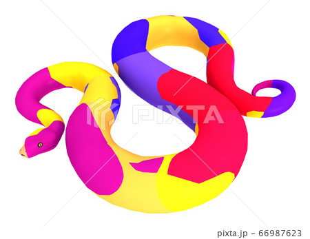 Boa Constrictor with colors isolated on white background Boa Constrictor with colors isolated on white background 66987623