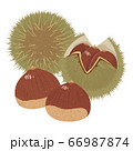 かわいい栗 66987874