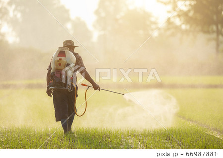 Asian farmer with machine and spraying chemical or 66987881