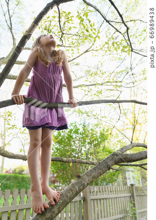 Girl (6-7) climbing tree 66989438