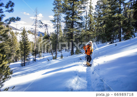 USA, Idaho, Sun Valley, Woman snowshoeing in winter landscape 66989718