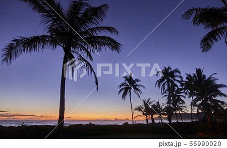USA, Hawaii, O'ahu, Kailua Beach, Silhouette of palm trees at sunset 66990020
